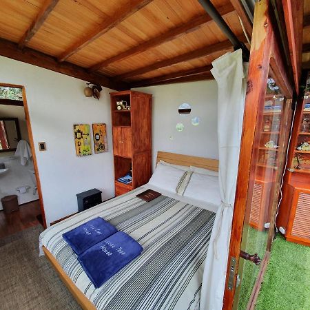 فيلا Casa En El Arbol سويسكا المظهر الخارجي الصورة