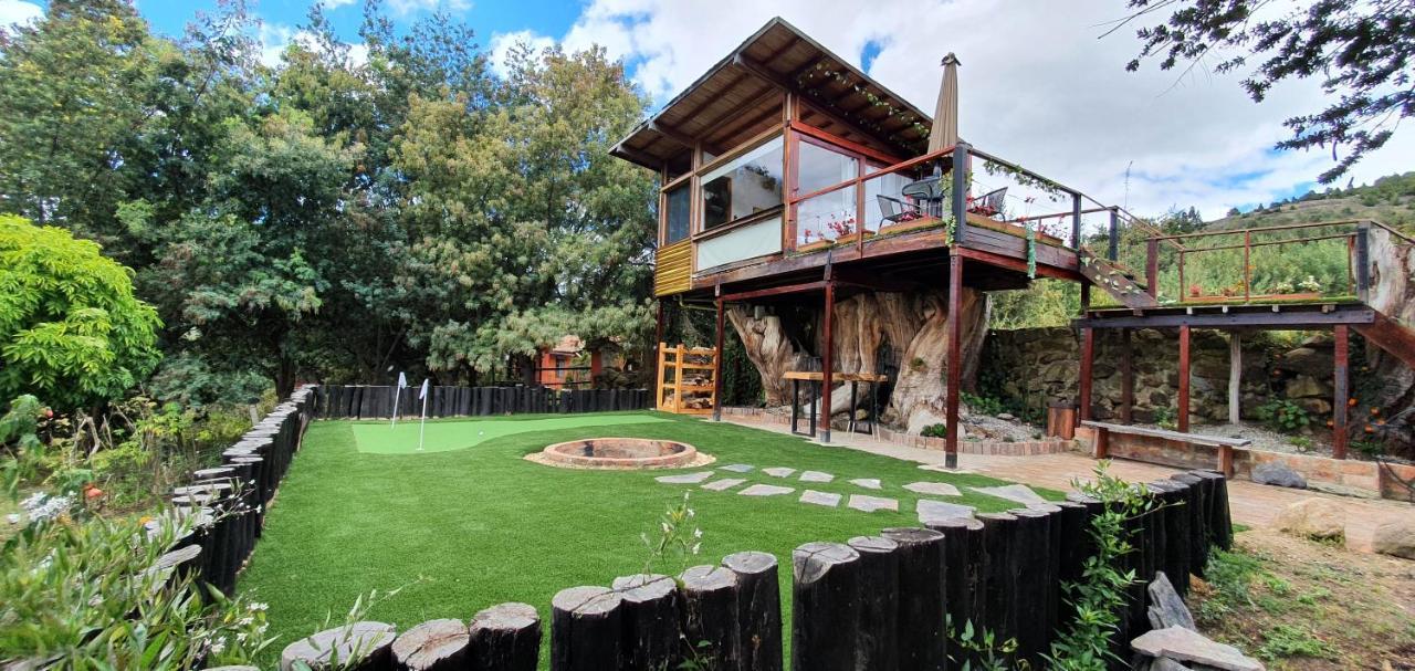 فيلا Casa En El Arbol سويسكا المظهر الخارجي الصورة