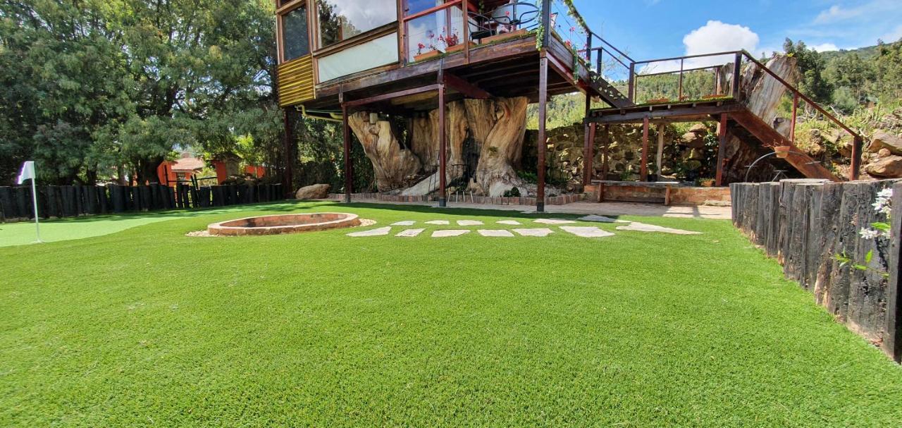 فيلا Casa En El Arbol سويسكا المظهر الخارجي الصورة