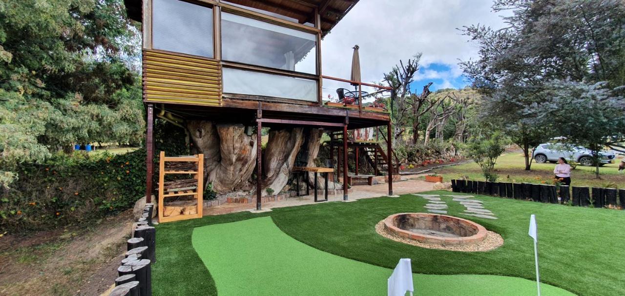 فيلا Casa En El Arbol سويسكا المظهر الخارجي الصورة