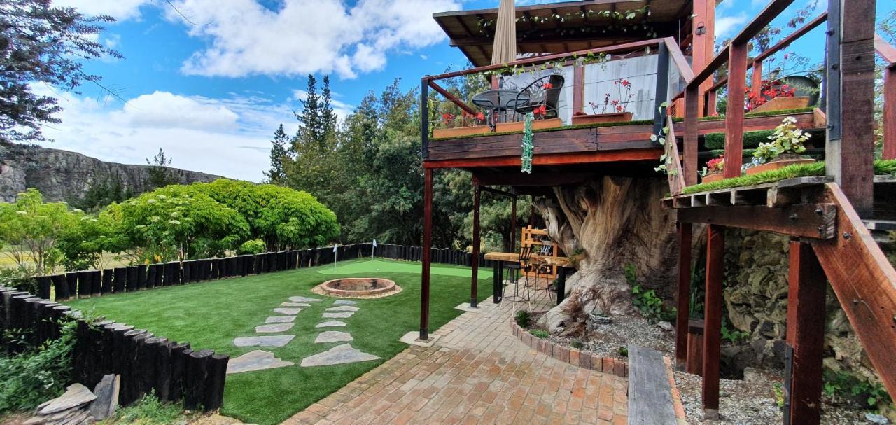 فيلا Casa En El Arbol سويسكا المظهر الخارجي الصورة