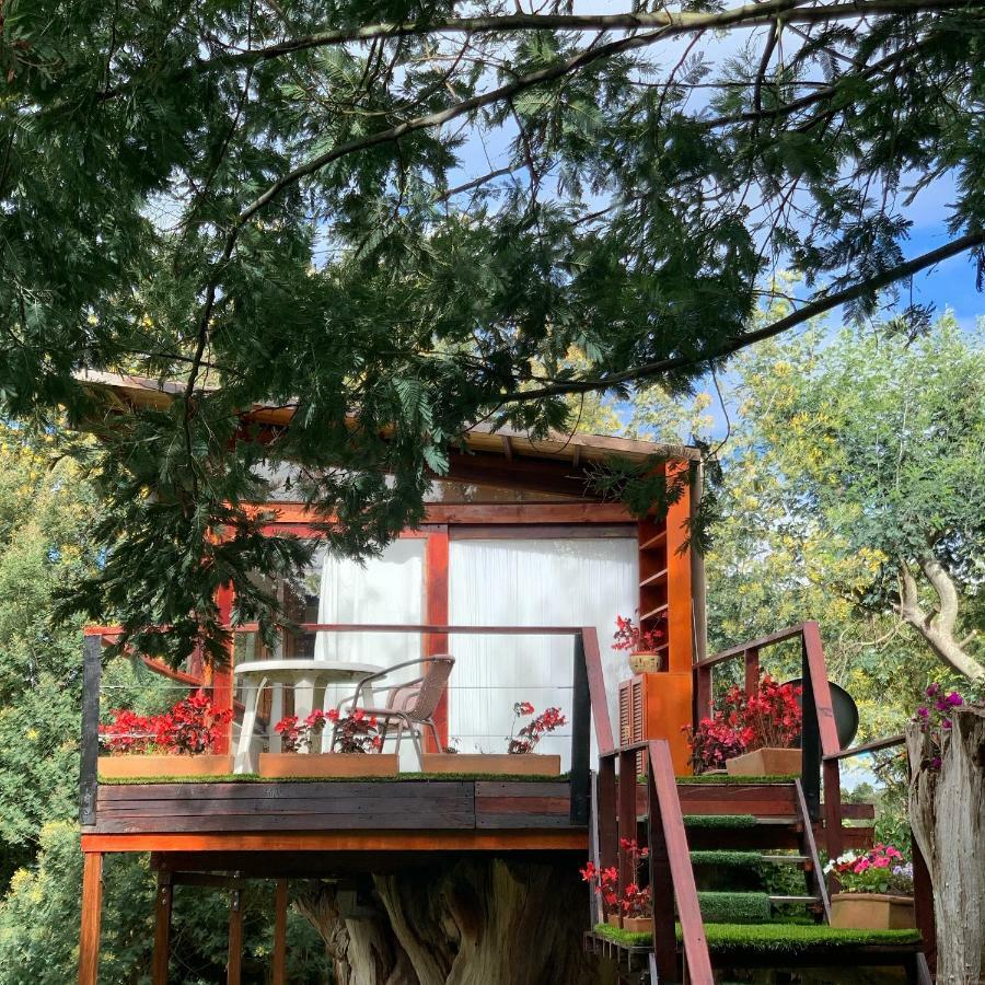 فيلا Casa En El Arbol سويسكا المظهر الخارجي الصورة
