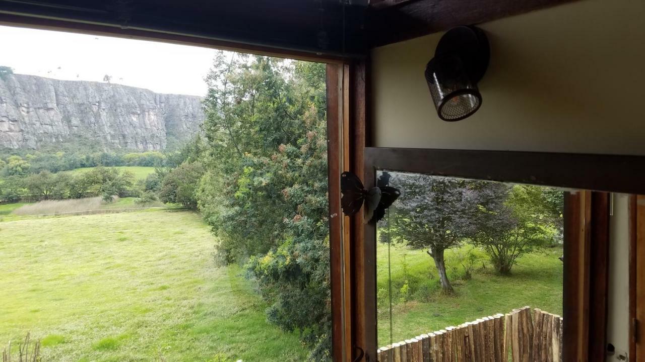 فيلا Casa En El Arbol سويسكا المظهر الخارجي الصورة